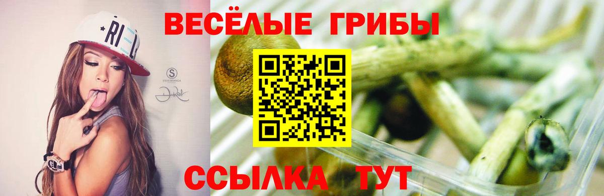 Киреевск  Галлюциногенные грибы Cubensis  Вход с VPN 